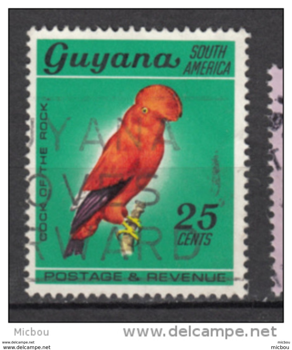 Guyanne, Guyana, Perroquet, Parrot, Oiseau, Bird - Parrots