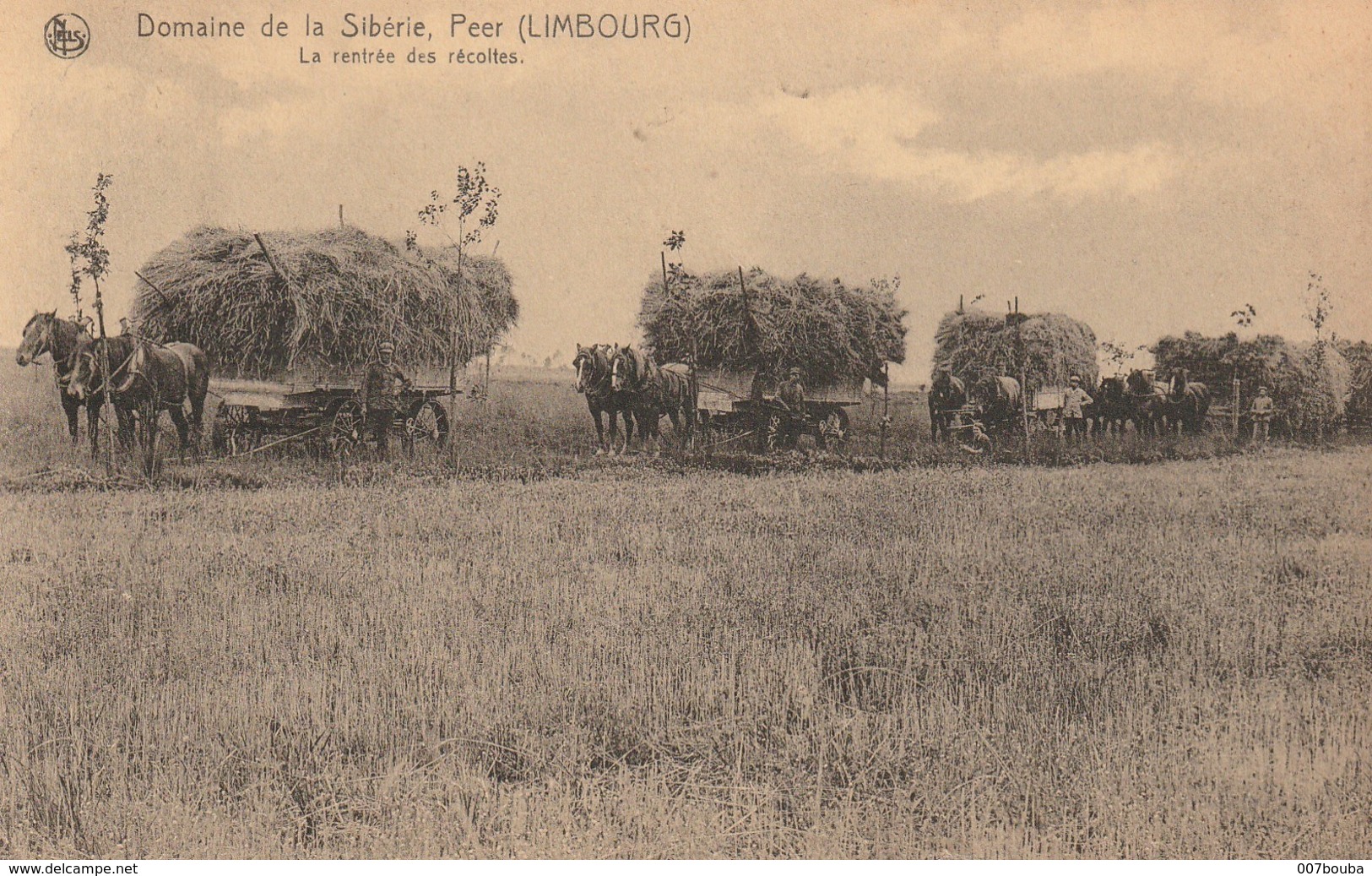 PEER DOMAINE DE LA SIBERIE / 4 CARTES PROVENANT DE CARNETS / TOUTES VOYAGEES 1927 - Peer