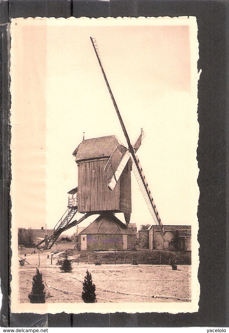 Lommel     Windmolen  Nieuwstraat - Lommel