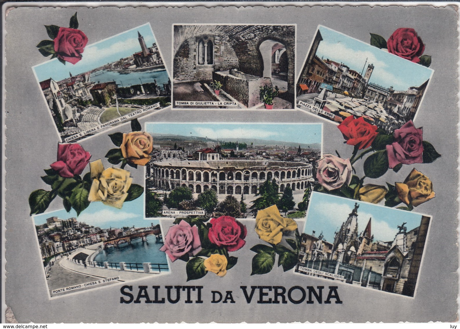 Saluti  Da VERONA,  Veduta Diverso, La Cripta, Arena, Ponte Romano,      Viaggiata - Verona