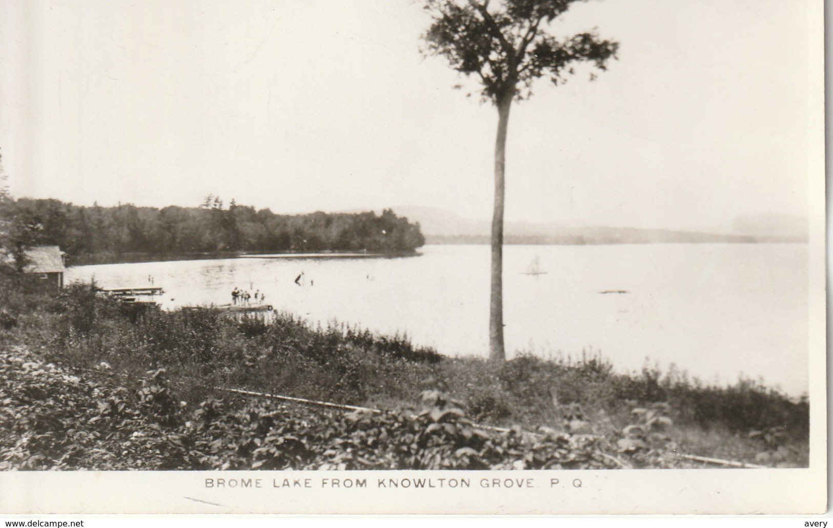 Lac Brome, Quebec Vue Prise Du Knowlton Grove Brome Lake From Knowlton Grove Photo Veritable - Other & Unclassified