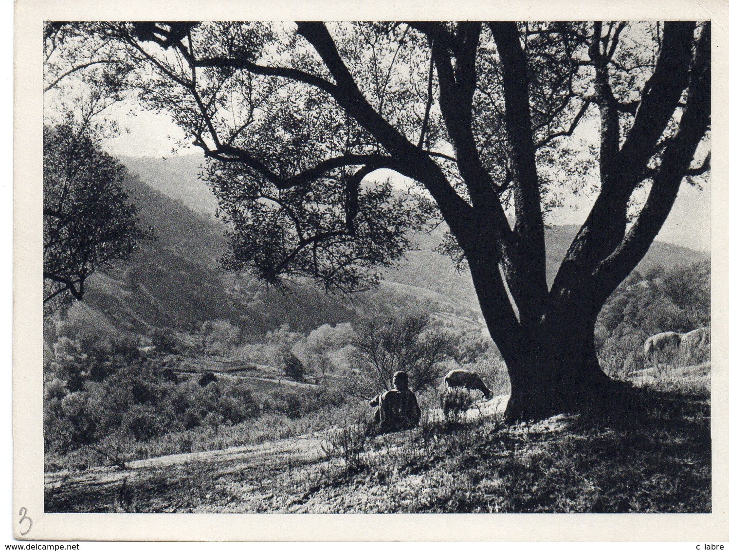 FRANCE : CP EN FM . ENVIRONS DE BOGHNI . NEUVE . - War Of Algeria