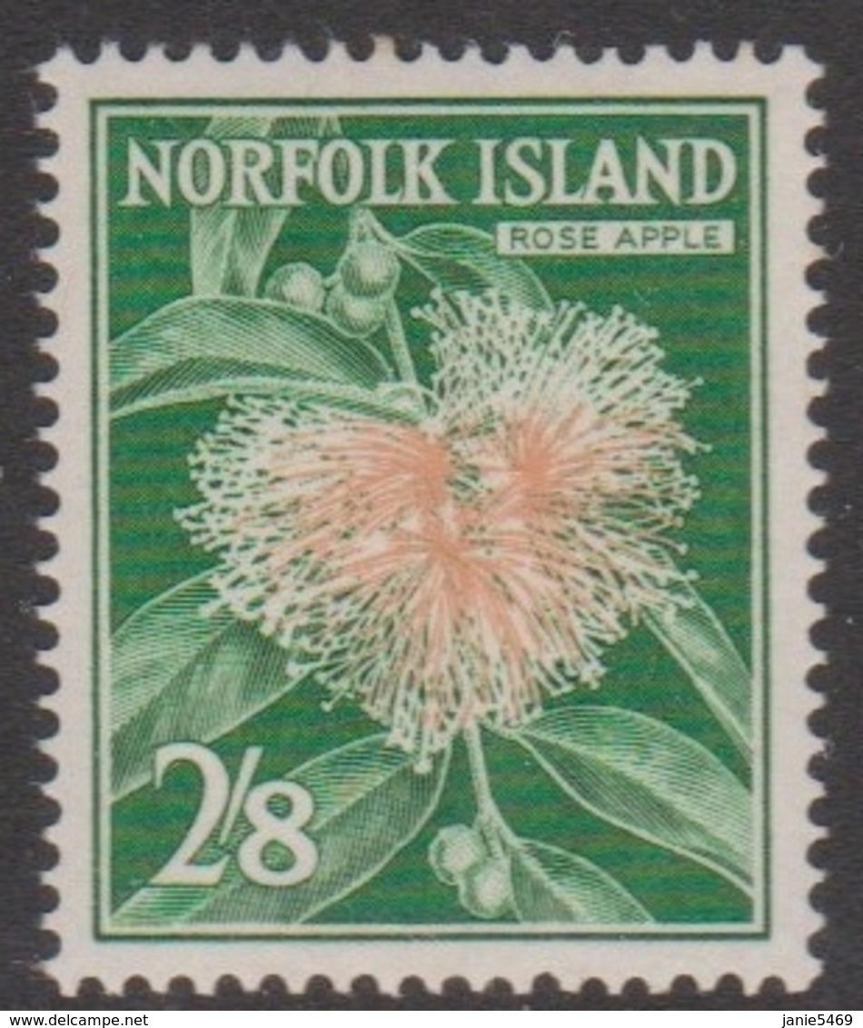 Norfolk Island ASC 39 1960 Flora And Fauna 2sh,8d Rose Apple, Mint Never Hinged - Other & Unclassified