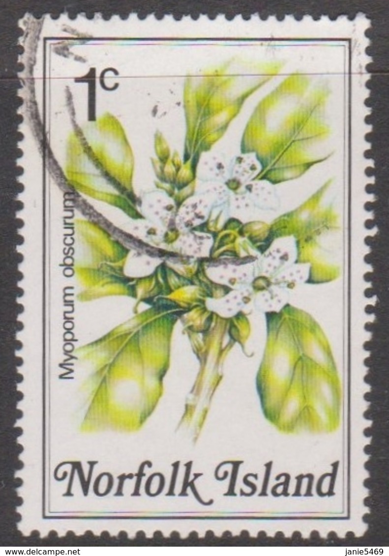 Norfolk Island ASC 316 1984 Flowers,1c Popwood, Used - Other & Unclassified