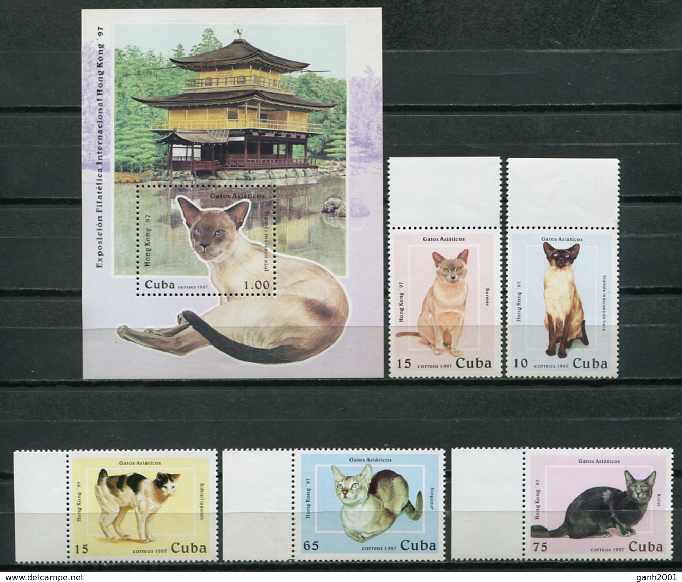 Cuba 1997 / Cats MNH Gatos Katzen Chats / Cu8503  C3-2 - Gatos Domésticos