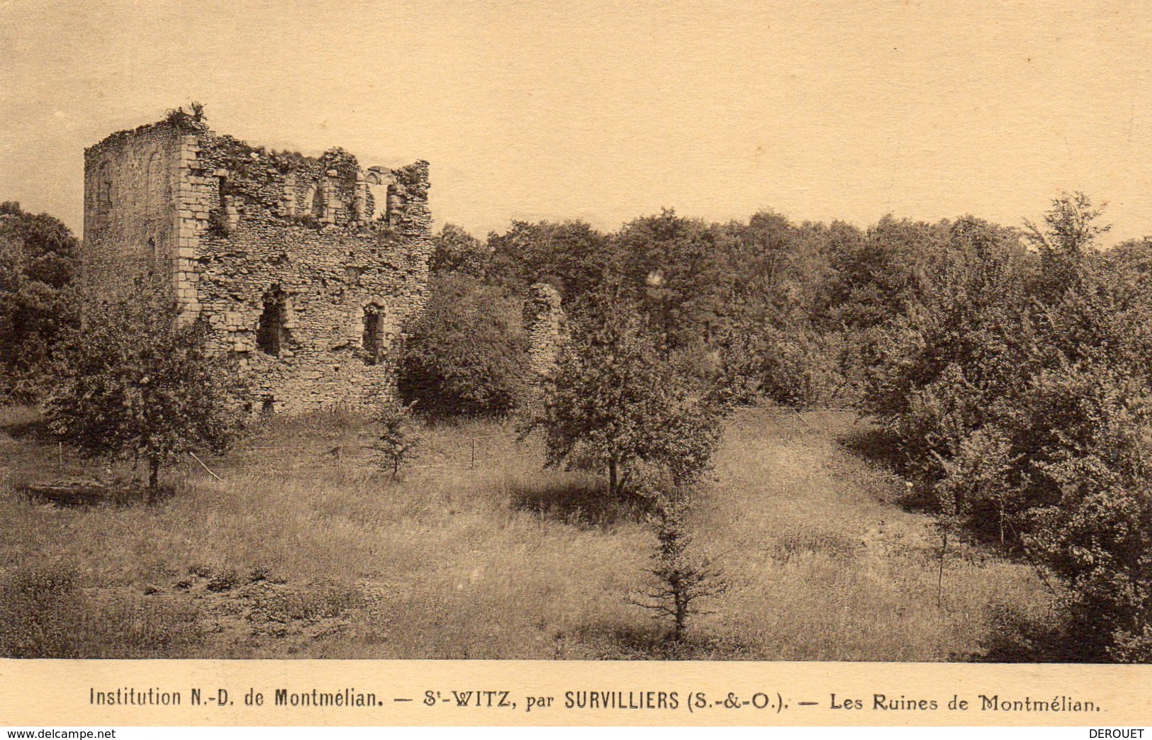 Saint Witz - Institution N.D De Montmélian - Saint Witz Par Survilliers - Les Ruines De Montmélian - Saint-Witz