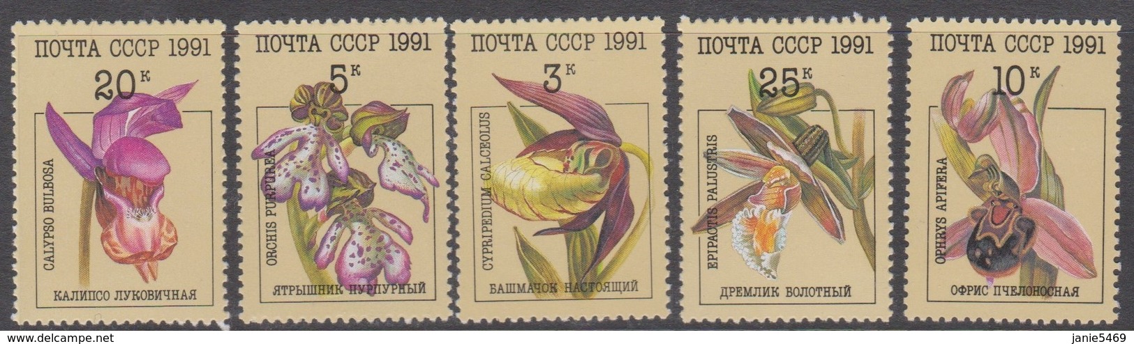 Russia 1991 Orchids, MNH - Orchids