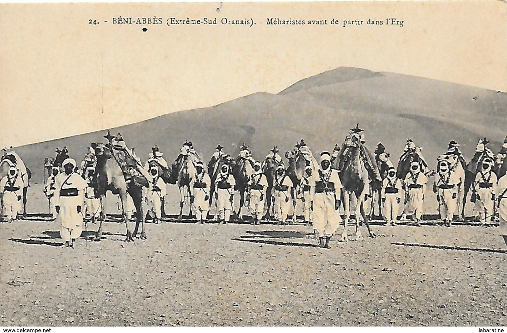 Algérie)   BENI  ABBES  - Extrême Sud Oranais - Méharistes Avant De Partir Dans L' Erg - Autres & Non Classés