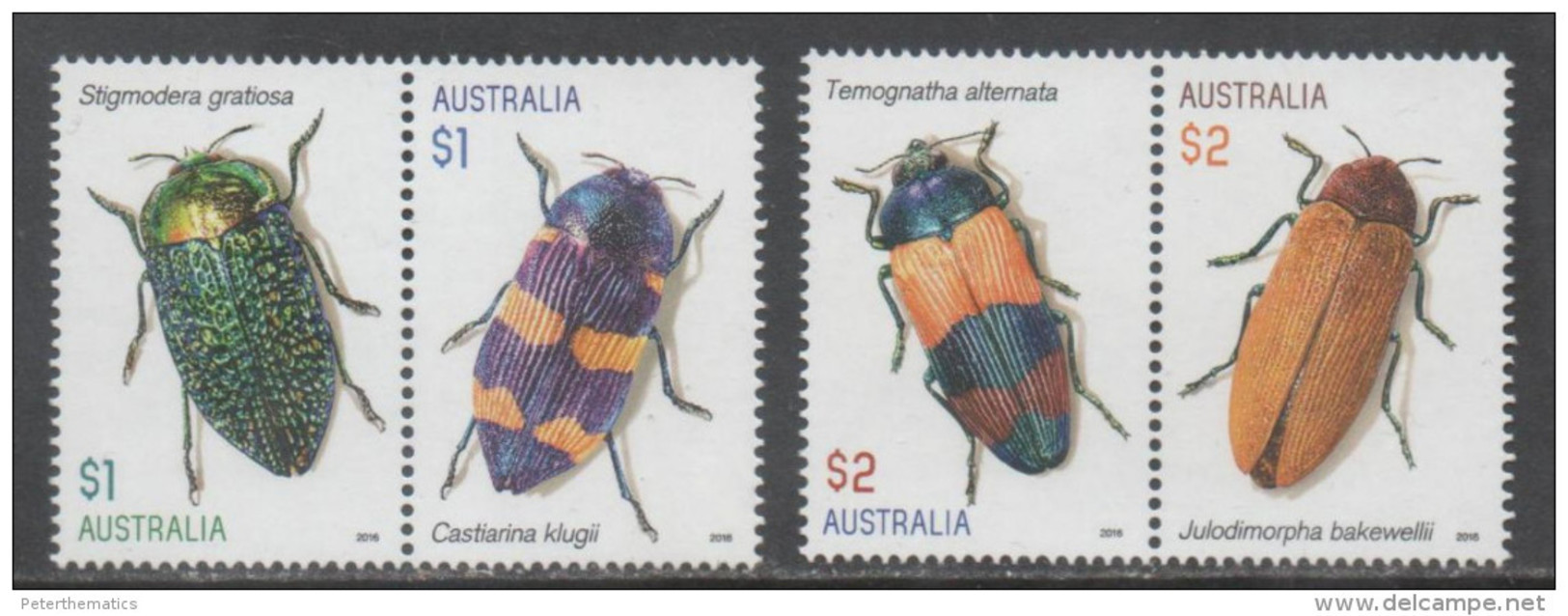AUSTRALIA, 2016, MNH, INSECTS, BEETLES,  4v - Other & Unclassified