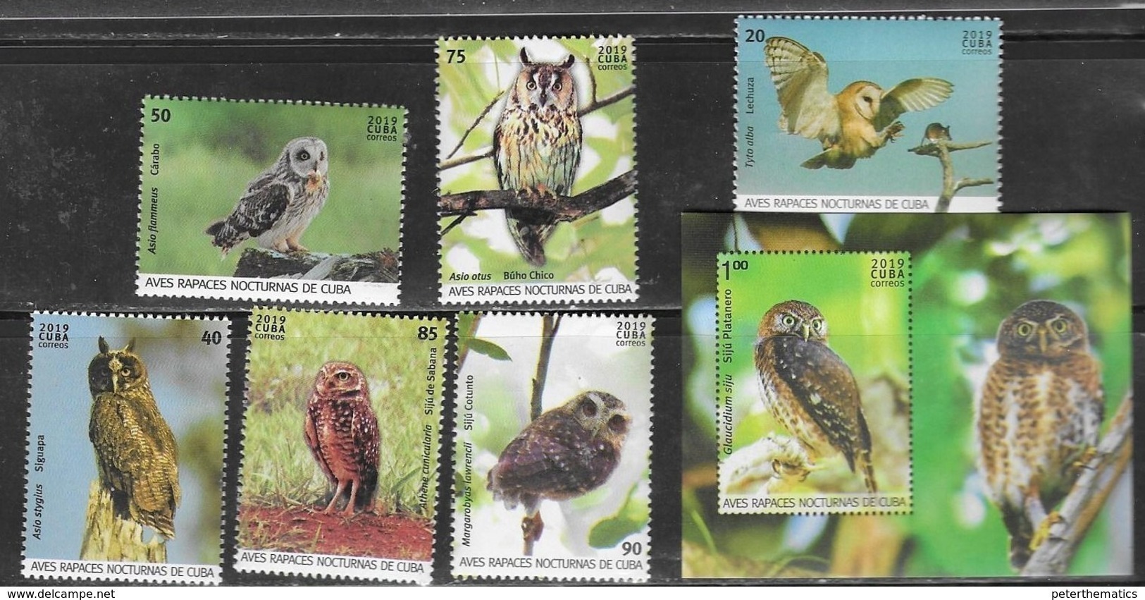 FAUNA, 2019, MNH, BIRDS, OWLS, MICE, 6v+S/SHEET - Owls