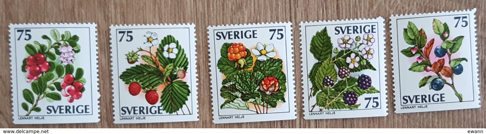 Suède - YT N°975 à 979 - Baies Sauvages / Flore - 1977 - Neufs - Nuevos