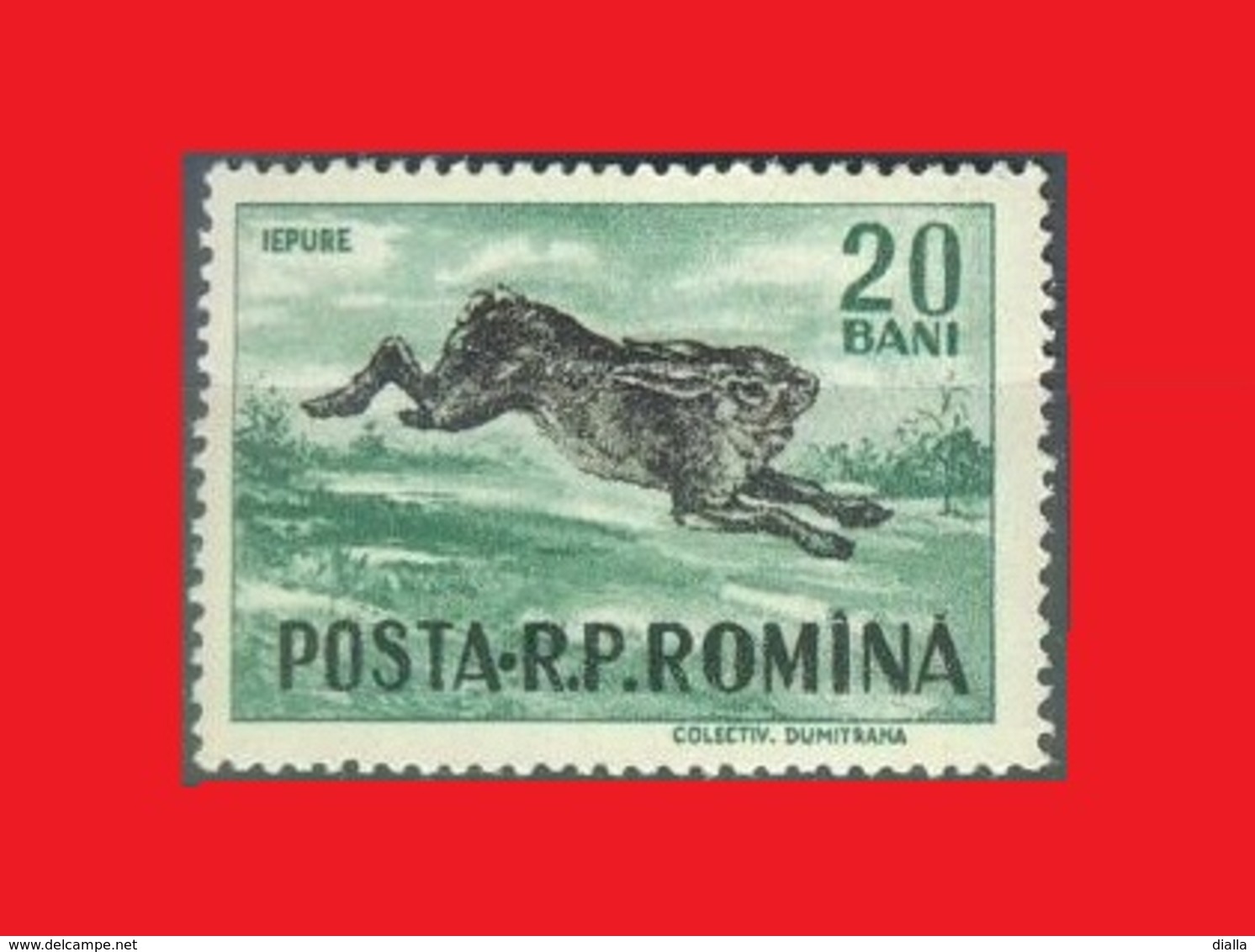 Roumanie Romania 1956, Yvert 1438, Hare / Lièvre / Feldhase / Liebre  MNH ** - Rongeurs