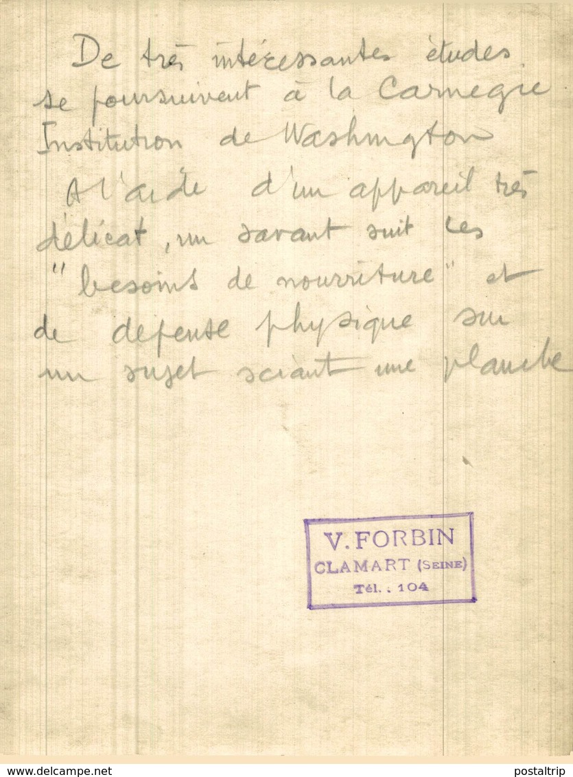 ETUDES INSTITUTION DE WASHINGTON BESOINS DE NOURRITURE  DÉFENSE PHYSIQUE  18*12CM Fonds Victor FORBIN 1864-1947 - Profesiones