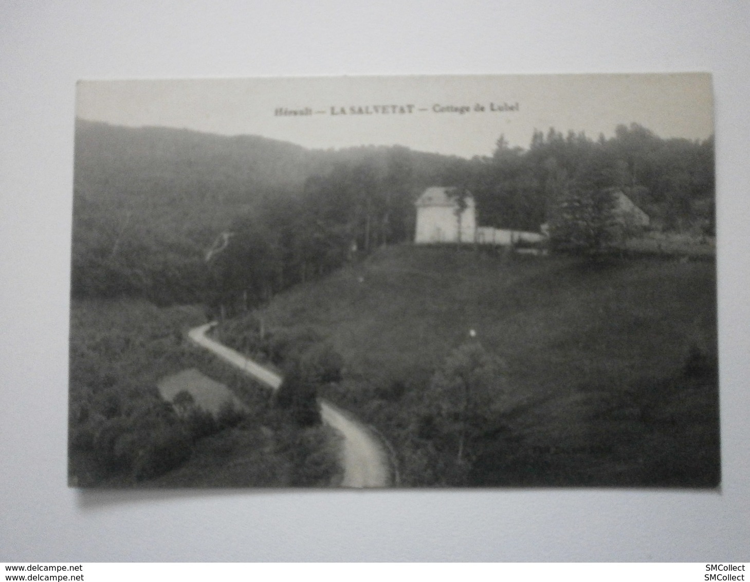 34 La Salvetat, Cottage De Lubel (Label). Carte Inédite (7841) - La Salvetat