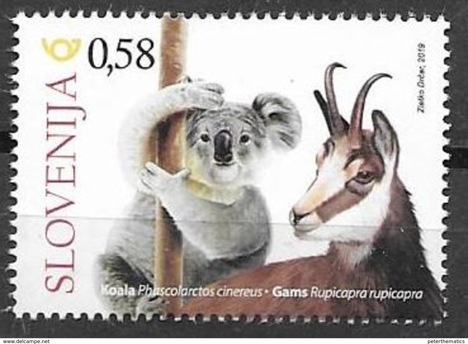 SLOVENIA, 2019, MNH, SLOVENIANS IN AUSTRALIA, FAUNA, KOALAS, WILD GOATS, 1v - Bears