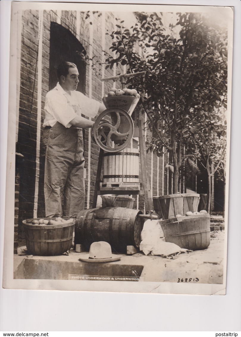 PROHIBITION BALTIMORE WITHIN THE LAW CIDER MAKING WITH NO ALCOHOL  25*20CM Fonds Victor FORBIN 1864-1947 - Profesiones