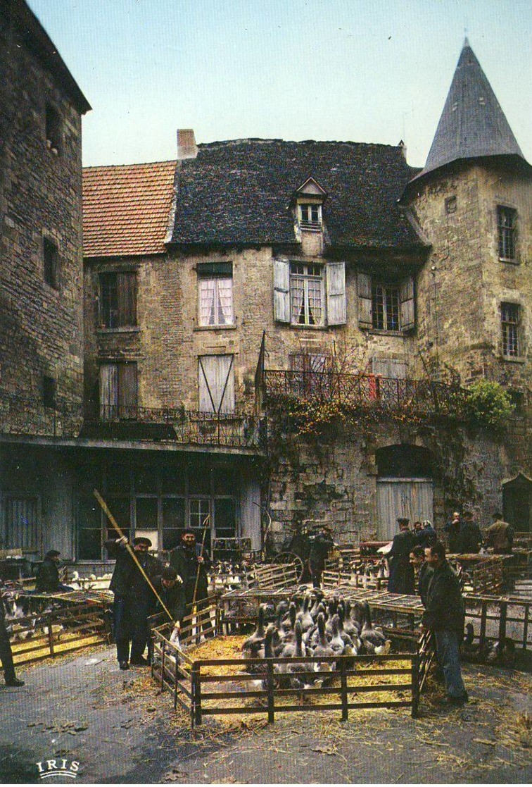 CPM Le Périgord Marché Aux Oies - Autres & Non Classés