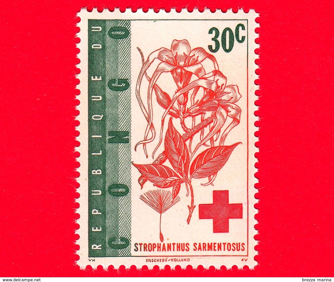 Nuovo - MNH - Repubblica Del CONGO - 1963 - Croce Rossa - Strophanthus Sarmentosus - 30 - Ungebraucht