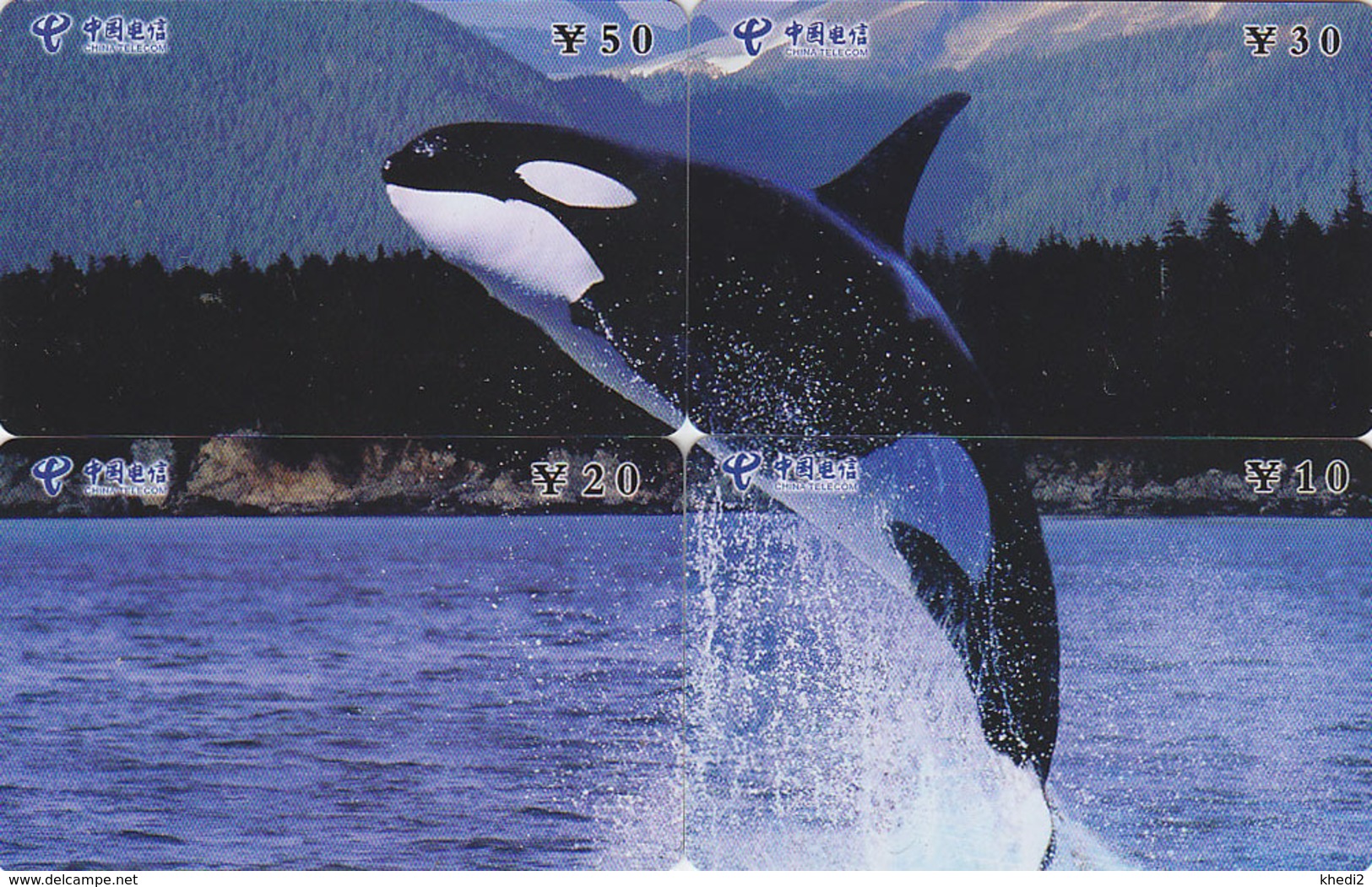 PUZZLE De 4 Télécartes Chine - ANIMAL - Dauphin Baleine ORQUE - ORCA Whale Phonecards Telefonkarten - 345 - Puzzle