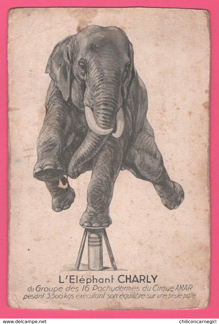 L'Elephant CHARLY Du Groupe Des 16 Pachydermes Du Cirque AMAR En équilibre - Imp. VILLEROT - Cirque