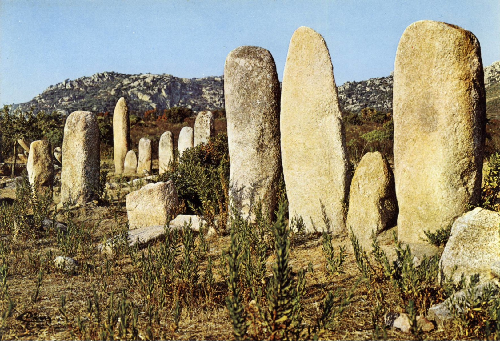 CPM .Menhirs De Paliagio.environs De Sartène - Corse