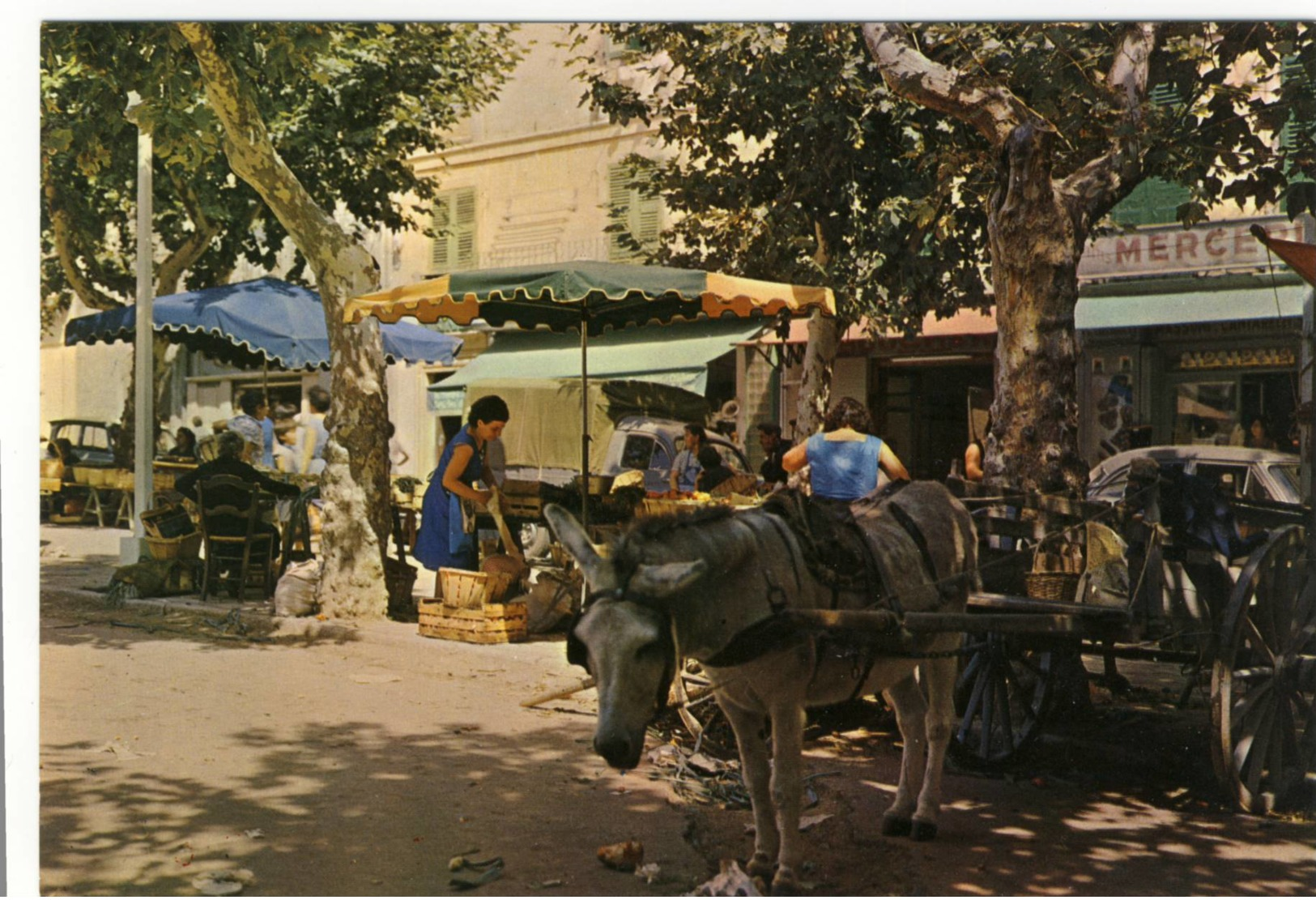 CPM .Bastia.le Marché - Corse