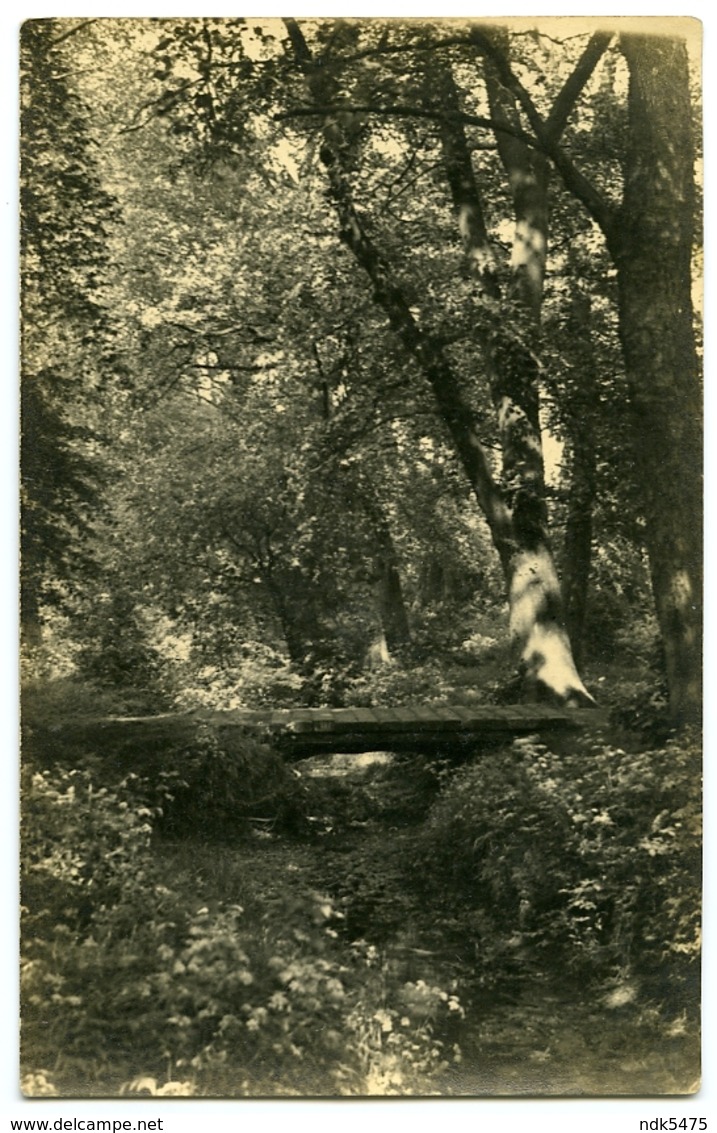 WOOD WITH BRIDGE AND STREAM - Other & Unclassified