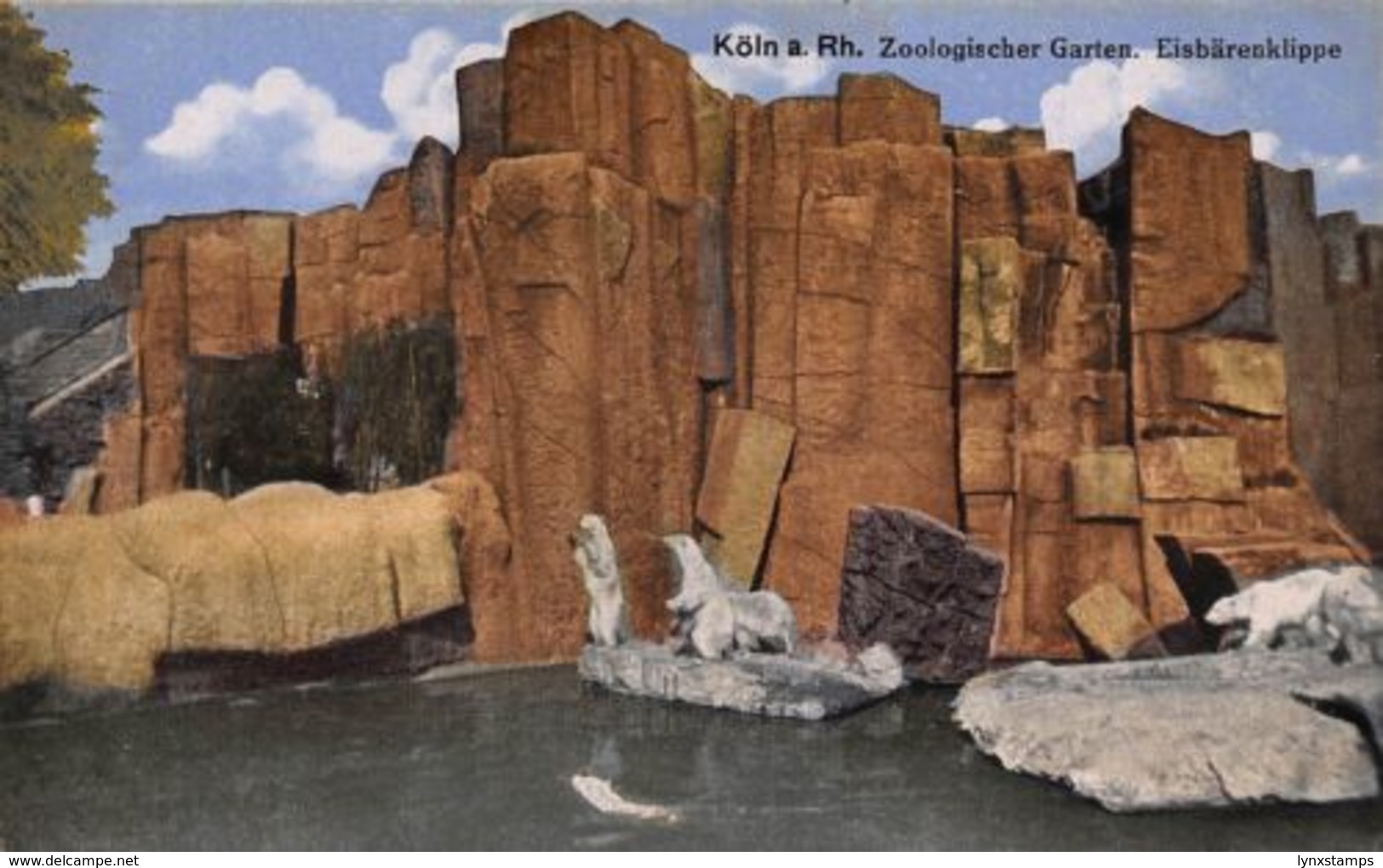 Germany Koeln Zoo Garden Polar Bears Postcard - Autres & Non Classés