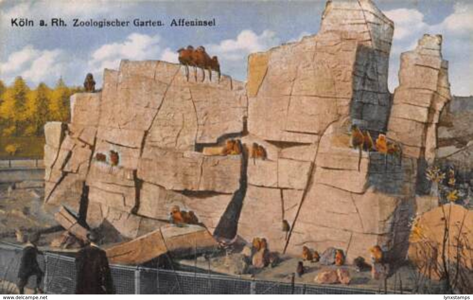 Germany Koeln Zoo Garden Monkeys Apes Postcard - Autres & Non Classés