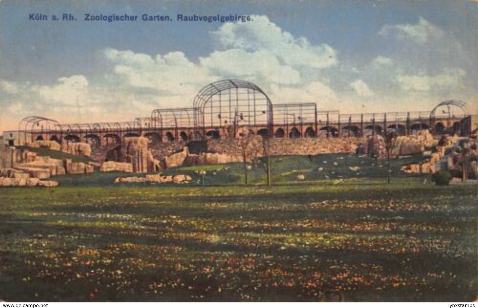 Germany Koeln Zoo Garden Birds Cage Postcard - Autres & Non Classés