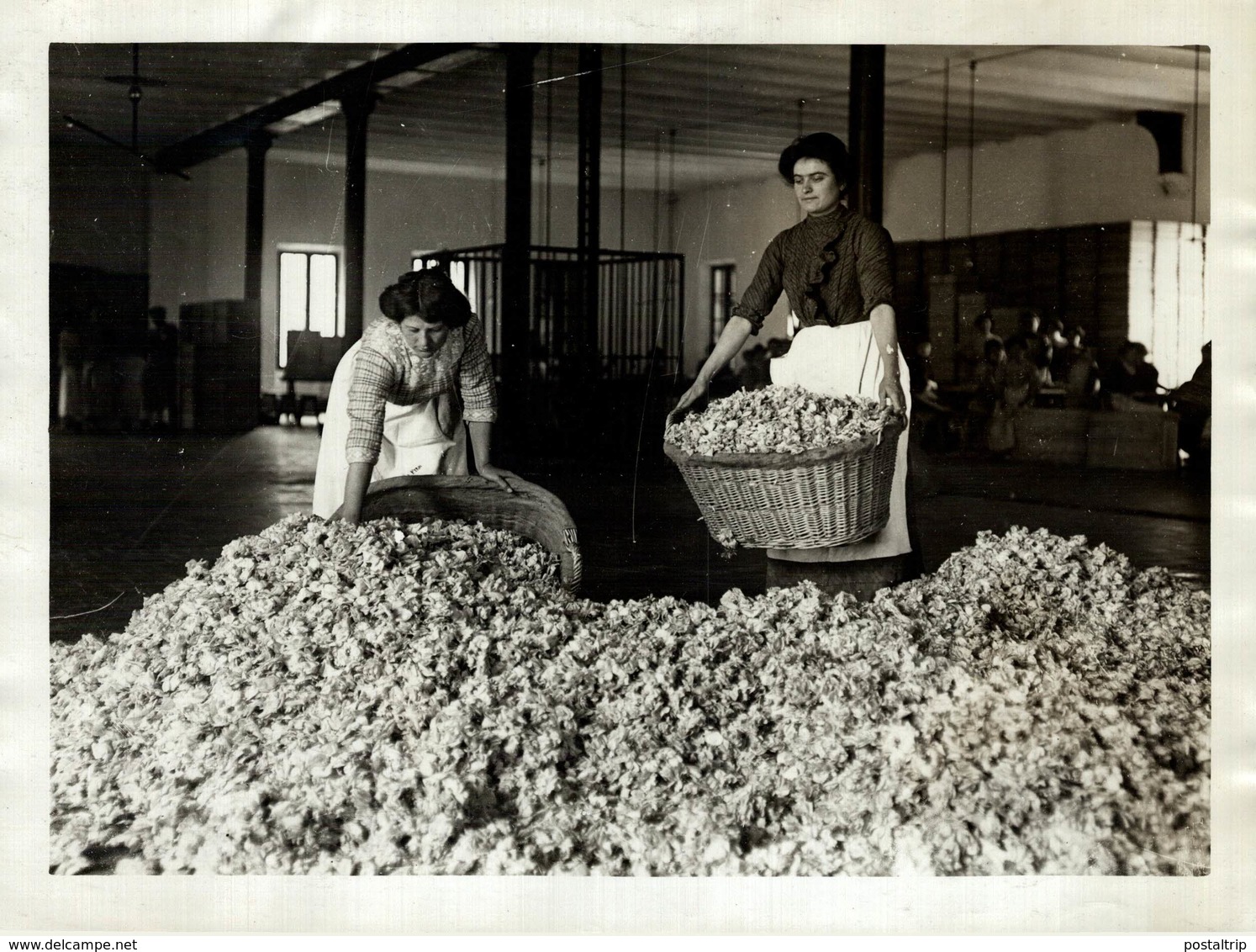 PERFUME MAKING GRASSE North Of Cannes FRANCIA PERFUMERIES TONS OF FLOWERS ROSES  21*16CM Fonds Victor FORBIN 1864-1947 - Profesiones