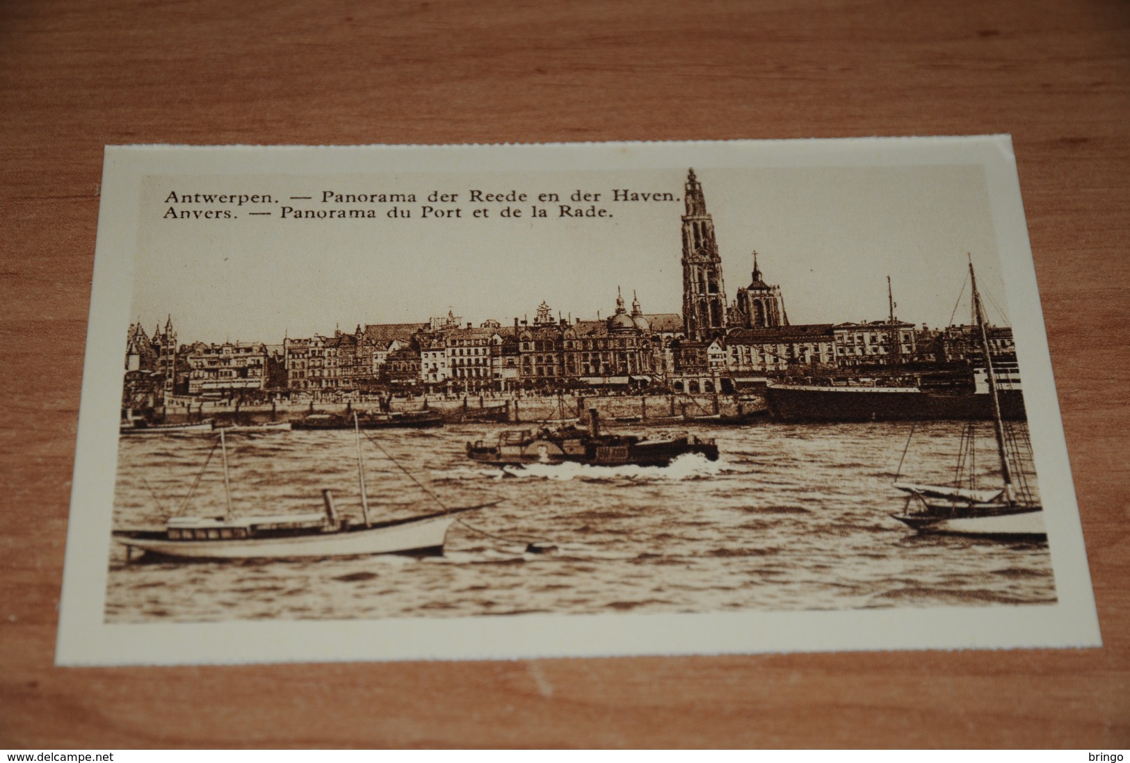 1443-    ANVERS  ANTWERPEN, PANORAMA REEDE EN HAVEN - Antwerpen