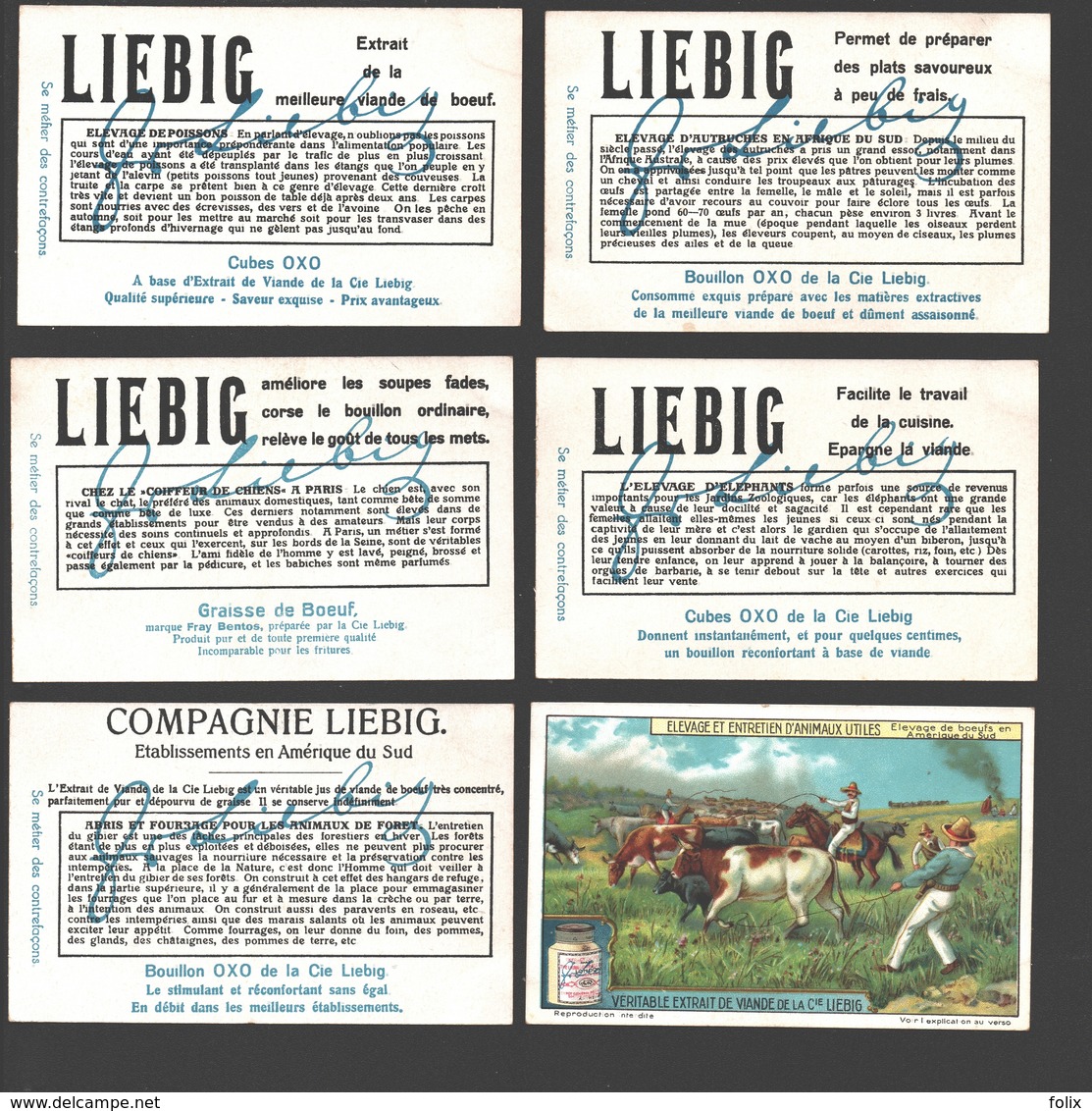 Liebig - Vintage Chromos - Series Of 6 / Série Complète - Elevage Et Entretien D'animaux Utiles - En Français - Liebig