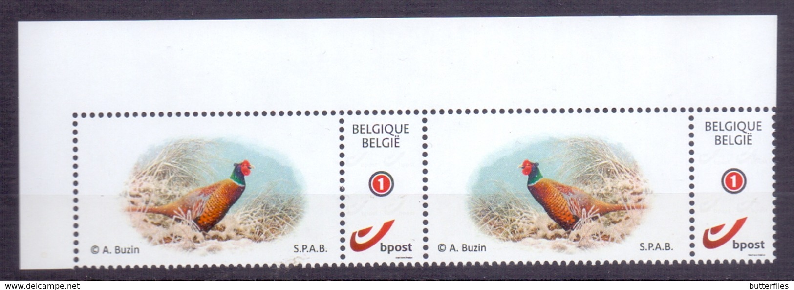 Belgie - 2019 - OBP  - **  Duostamp Fazant - S.P.A.B. - A. Buzin ** - 1985-.. Vögel (Buzin)