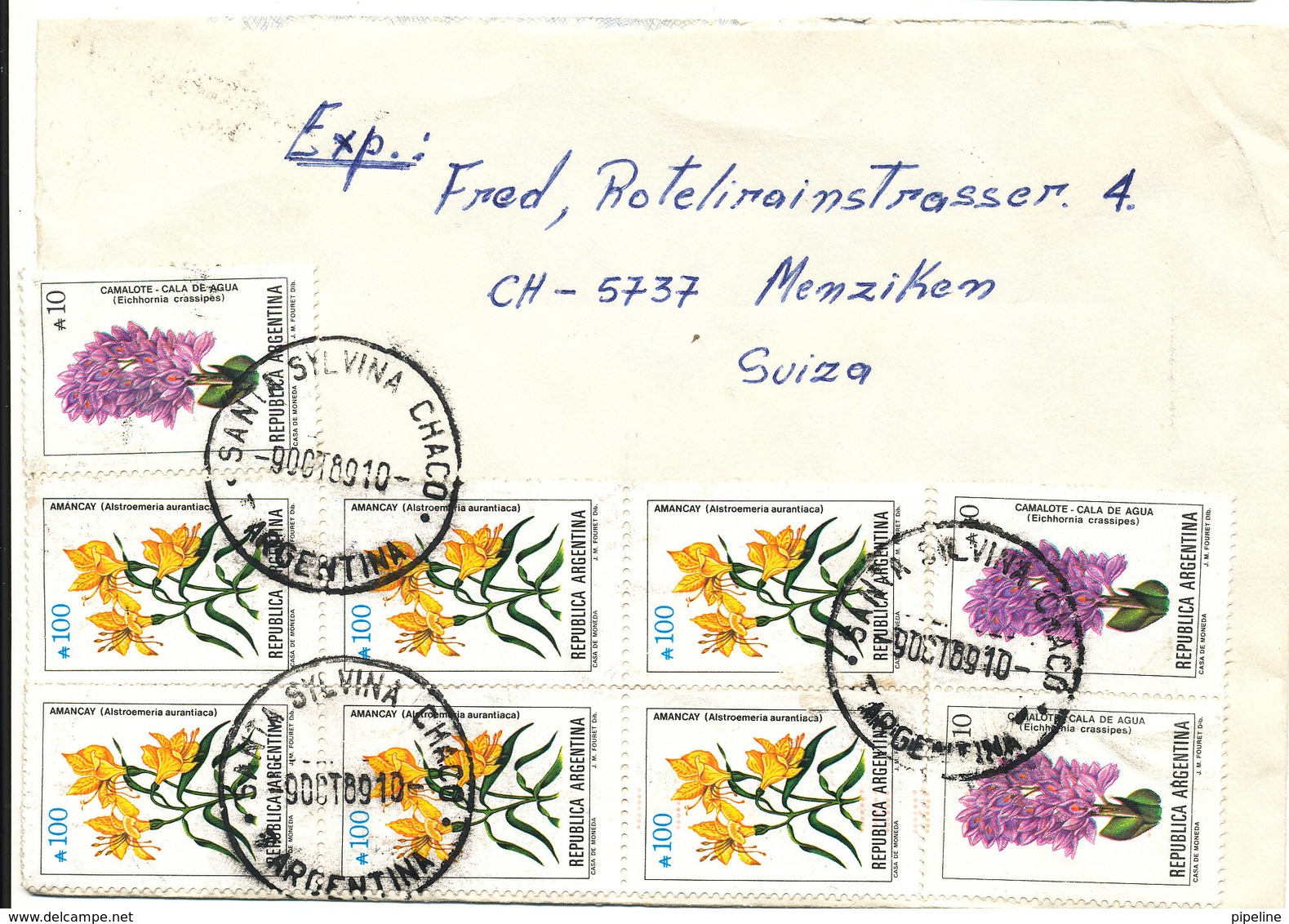 Argentina Cover Sent Air Mail To Switzerland 9-10-1989 Topic Stamps FLOWERS On Front And Backside Of The Cover - Lettres & Documents