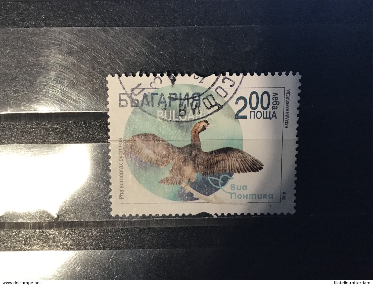 Bulgarije / Bulgaria - Fauna In Bulgarije (2.00) 2019 - Used Stamps