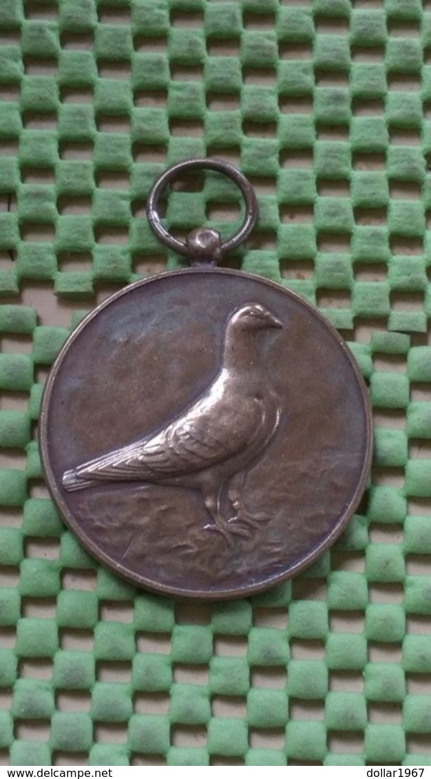 Medaille :Netherlands  -  Duiven Sport , Geen Datum   / Vintage Medal - Walking Association - Altri & Non Classificati