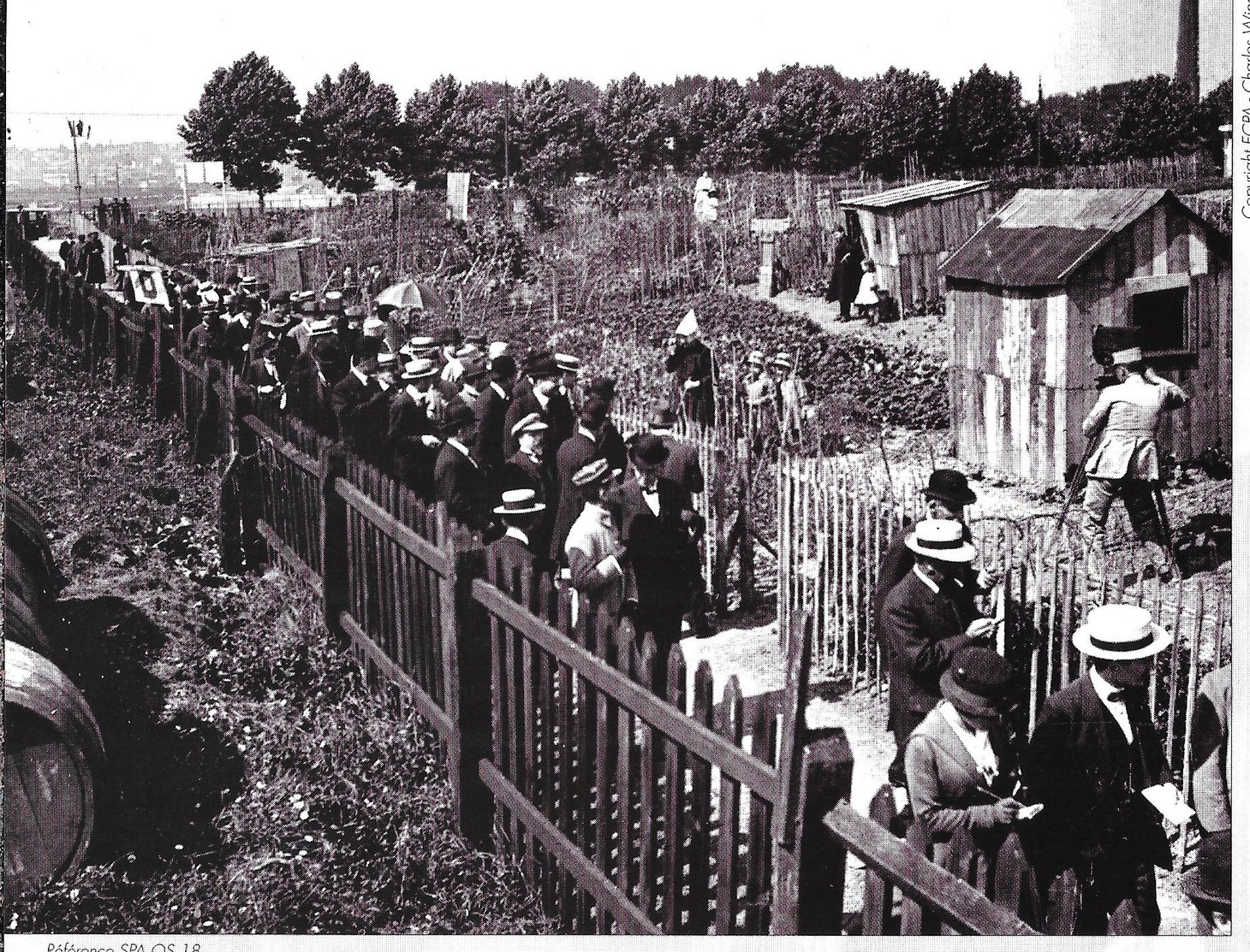 Cpm Paris 12è - Le Ministre De L'Agriculture Visite Les Jardins Potagers Dans Les Fortifications De Bercy(juillet 1917). - Arrondissement: 12