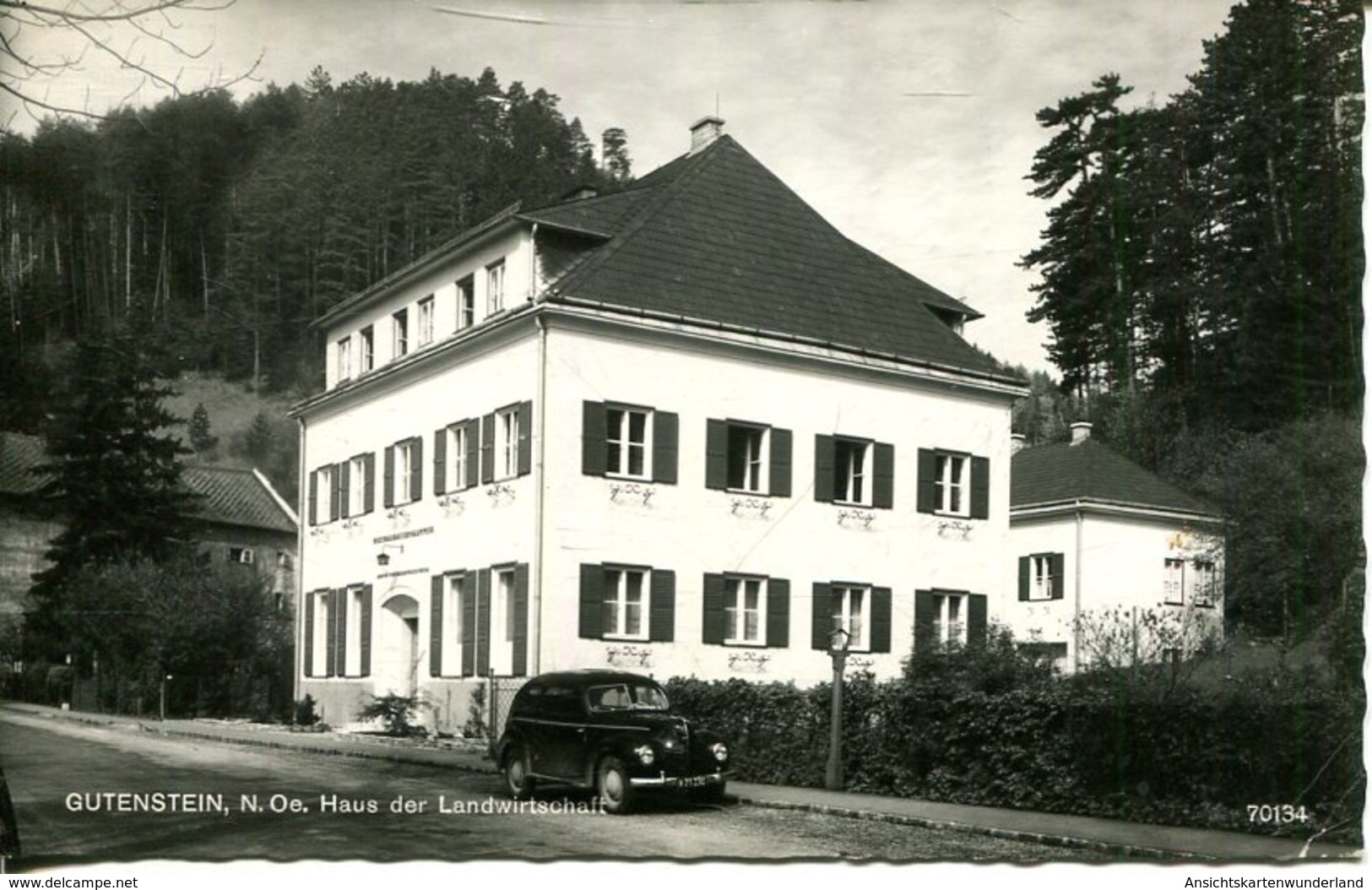 Gutenstein - Haus Der Landwirtschaft  1959  (007772) - Gutenstein