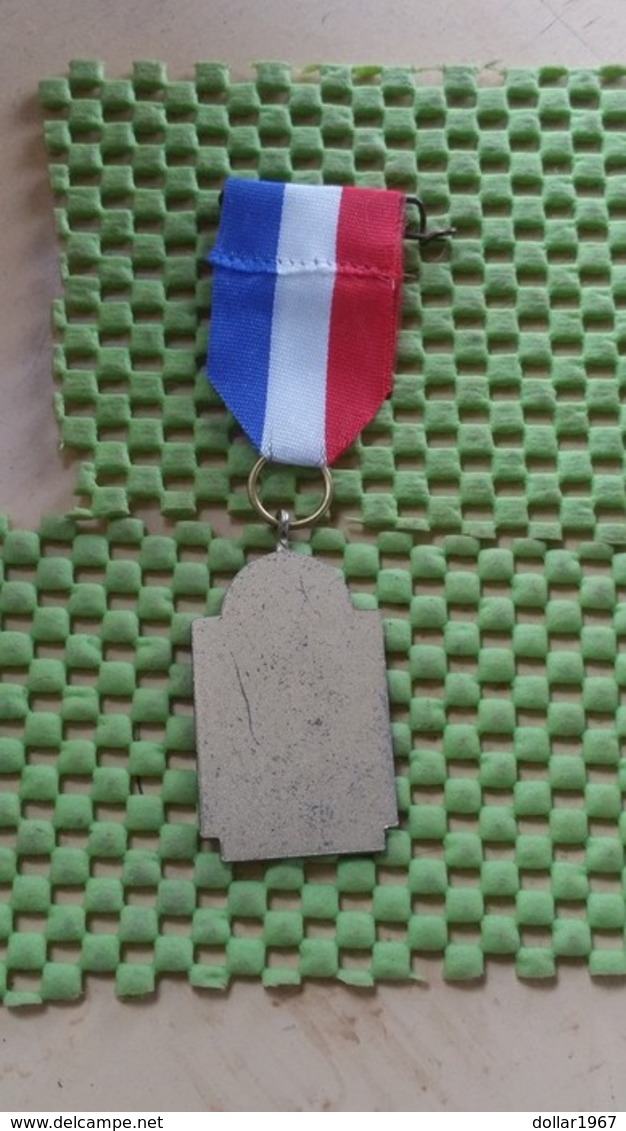 Medaille :Netherlands  -  Treslong Tocht Hillegom   / Vintage Medal - Walking Association - Altri & Non Classificati