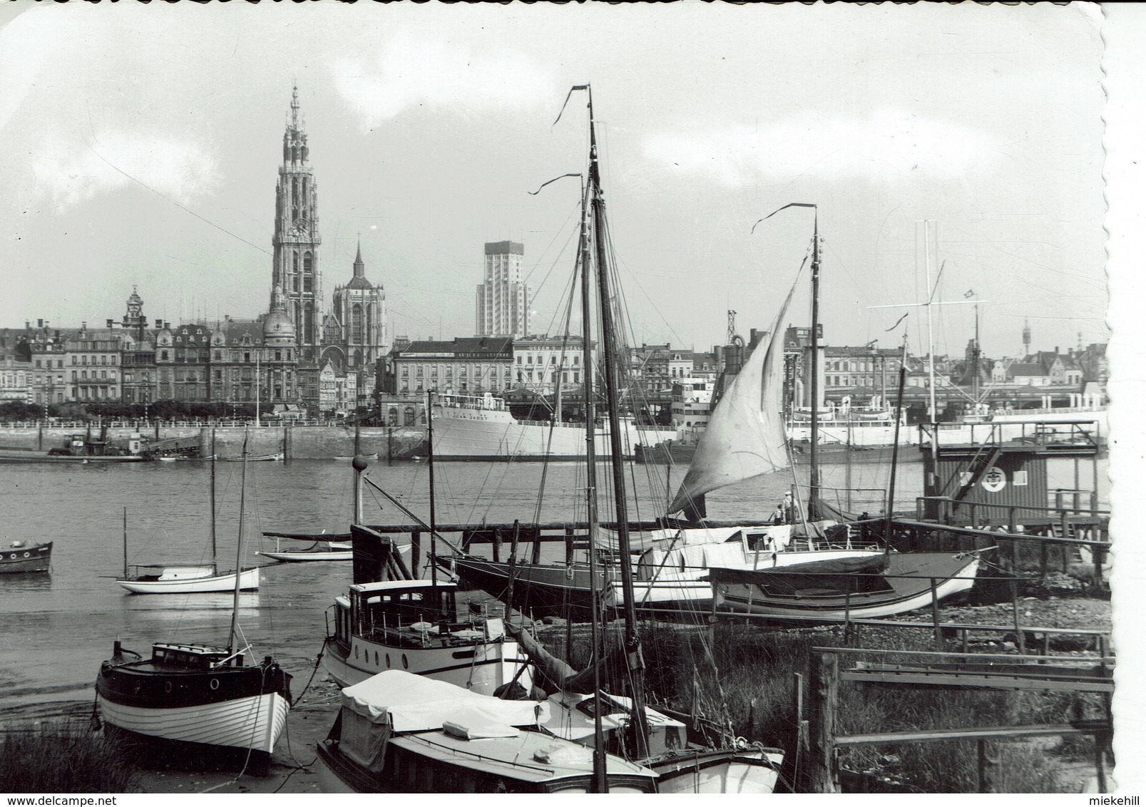 ANTWERPEN-PANORAMA DU PORT ET DE LA RADE-DER HAVEN EN REEDE - Antwerpen