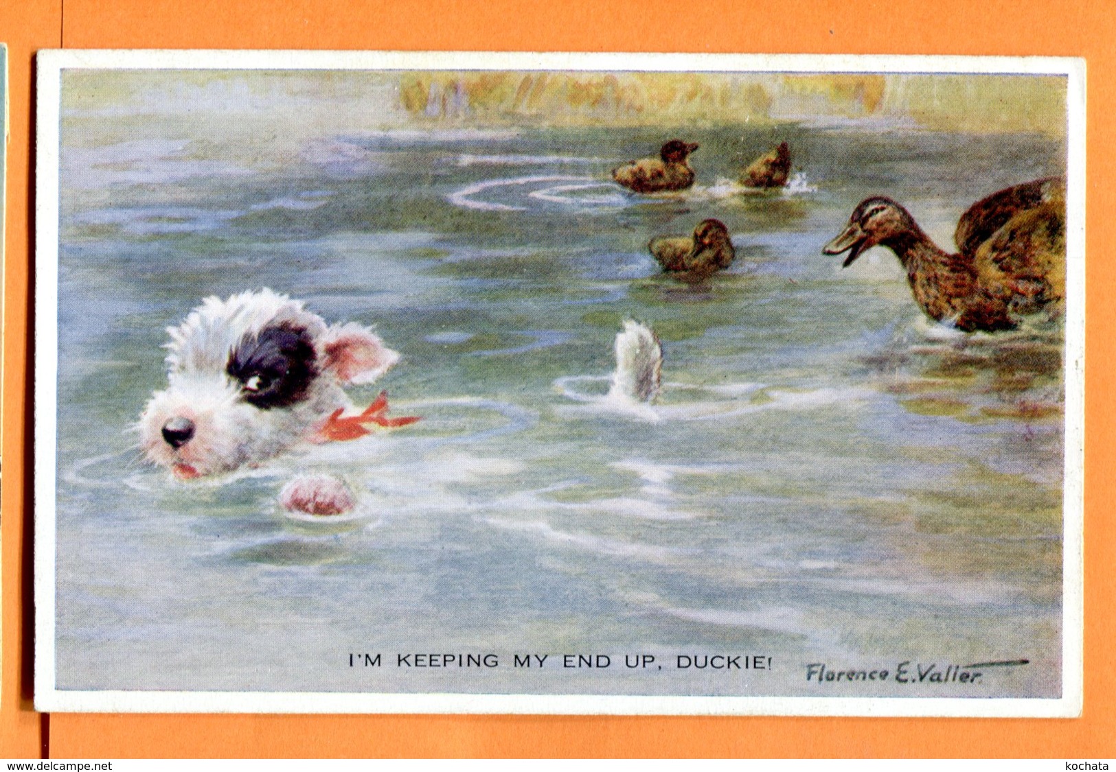 FEL1249, Chien, Dog, Hund, Duck, Canard, 1633, Non Circulée - Valter, Fl. E.