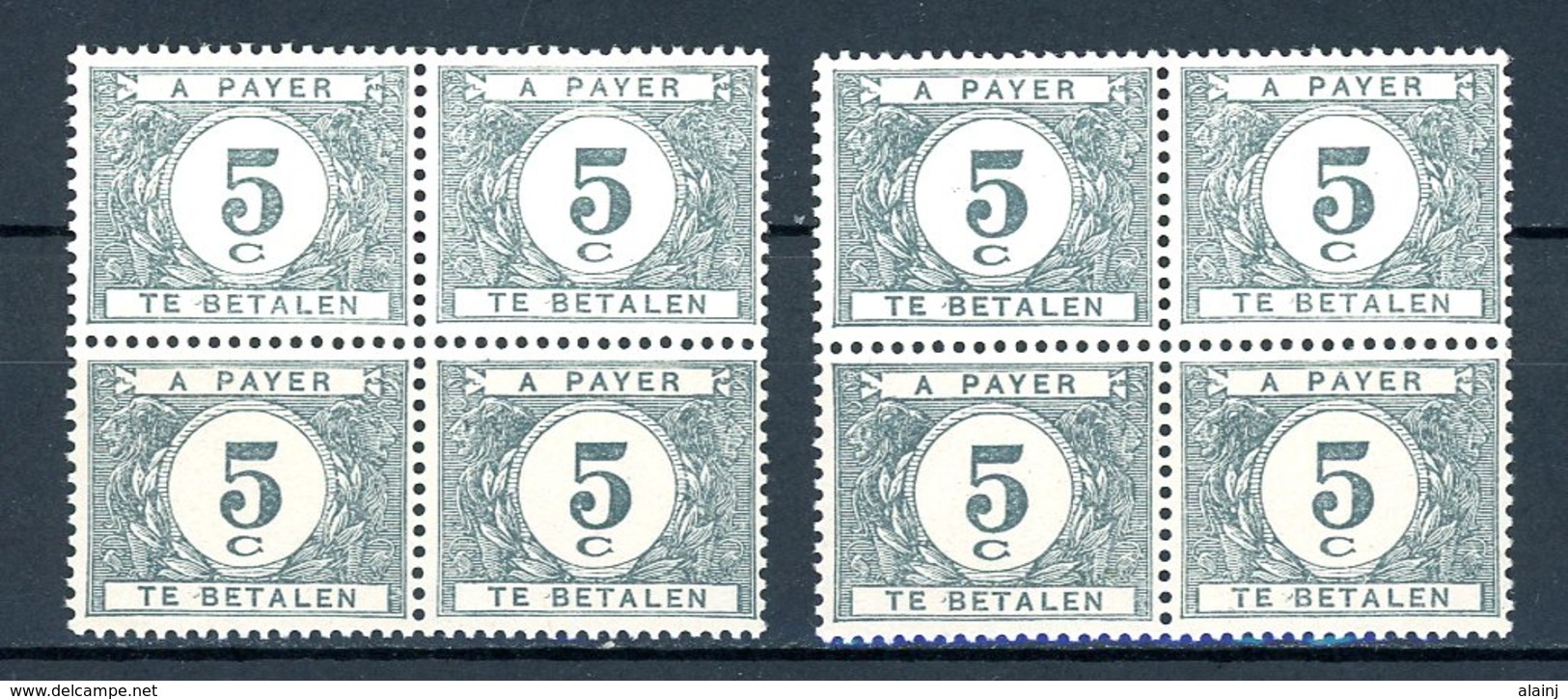 BE   TX 32 - 32a    XX    ---    Les Deux Nuances En Blocs De 4... - Timbres