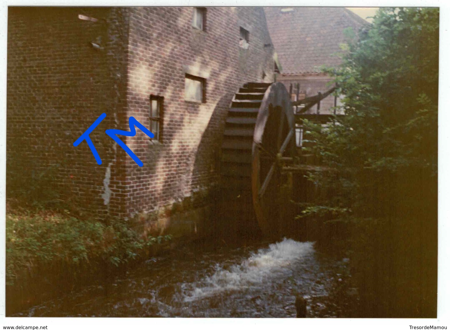 Ellikom - Photo De Janvier 1984 - Molen - Watermolen - Meeuwen-Gruitrode