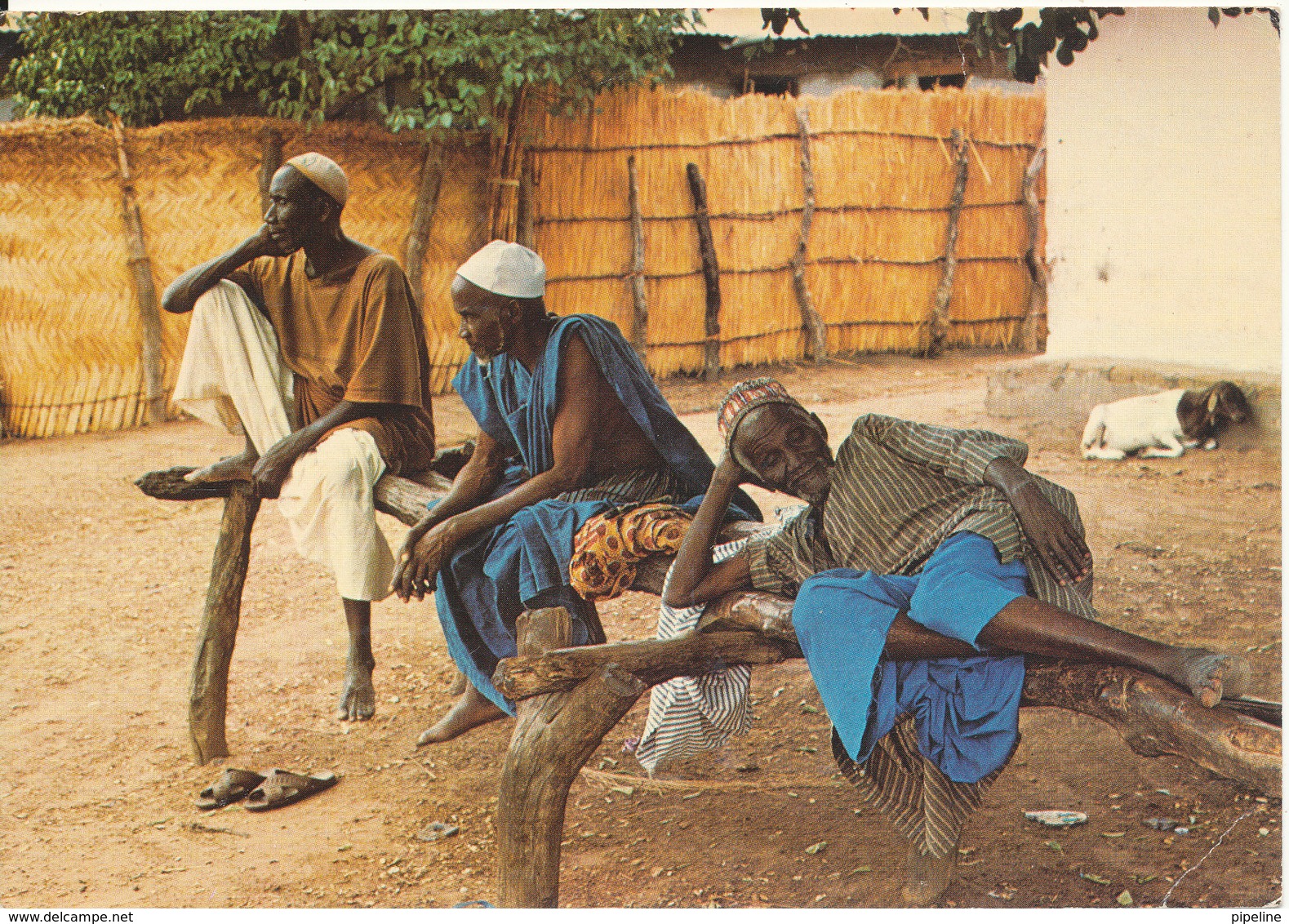Gambia Postcard Sent To Denmark 27-2-1979 WWF Stamp (Gambian Elders Rest On The Bantaba) - Gambia