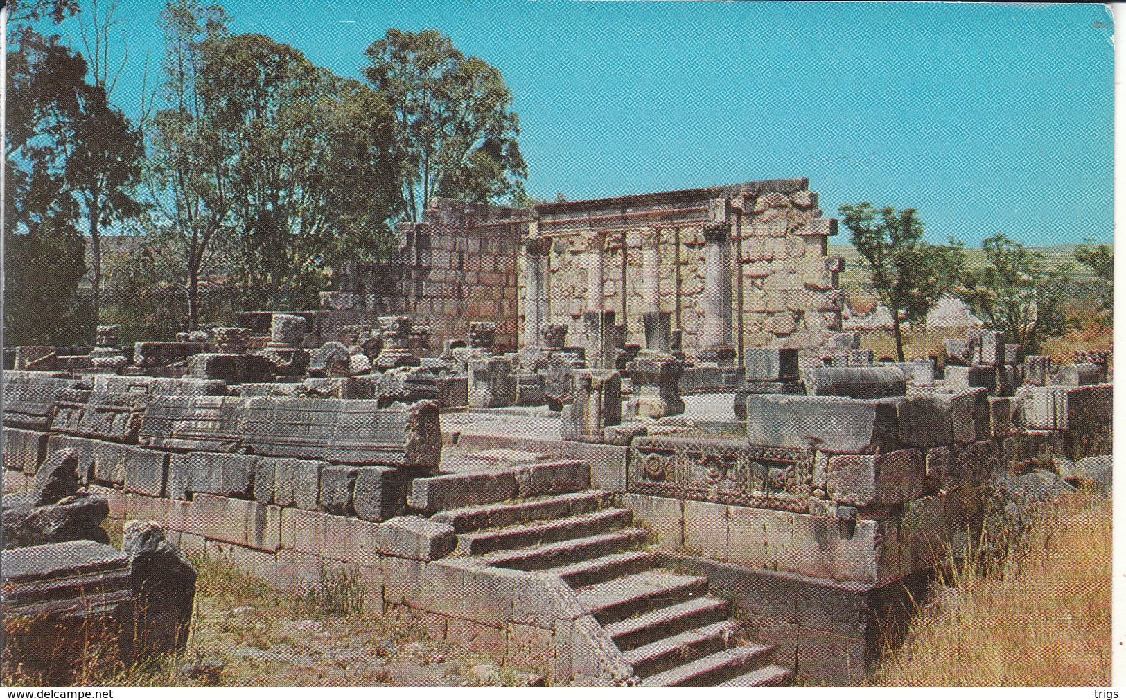 Capernaum - Ancient Synagogue, Total View - Israele