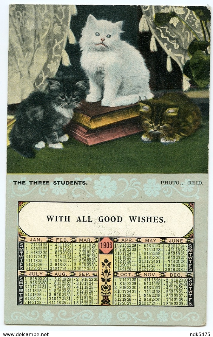CALENDAR : 1906 - CATS / KITTENS - THE THREE STUDENTS / POSTMARK - LONDON / WALTHAMSTOW, BELGRAVE ROAD (WOOD) - Cats
