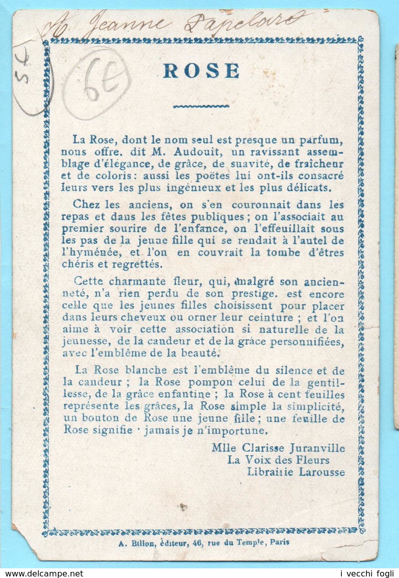 Chromo Didactique, Non Publicitaire. Le Langage Des Fleurs. Rose: Beauté Amour. Buste De Femme - Otros & Sin Clasificación