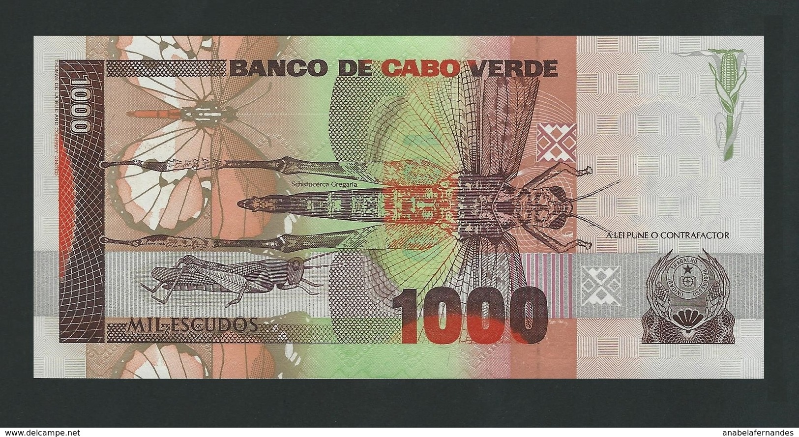 CAP  VERT CABO VERDE , 1000  ESCUDOS 1989  UNC - Cabo Verde