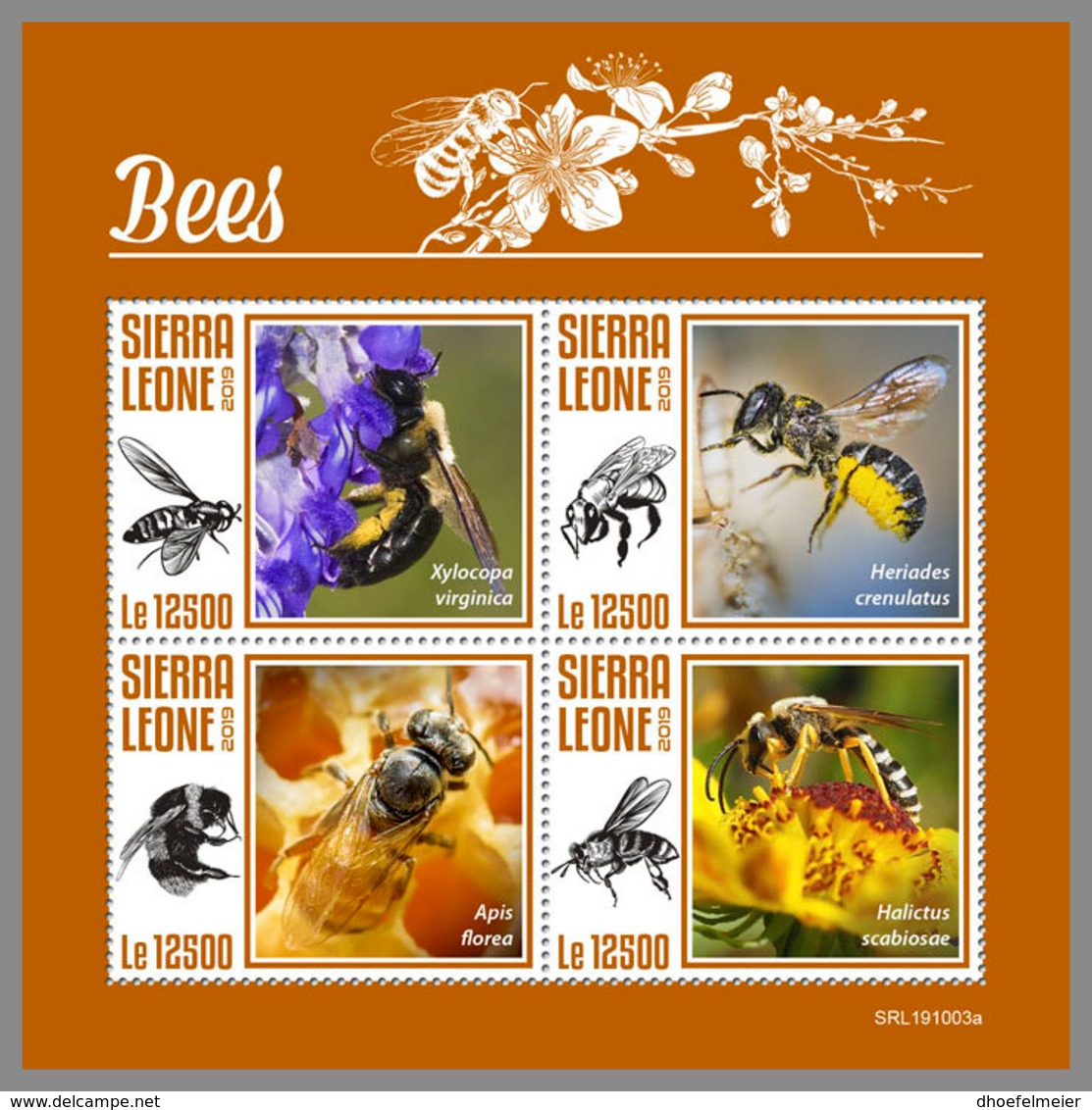 SIERRA LEONE 2019 MNH Bees Bienen Abeilles M/S - OFFICIAL ISSUE - DH1948 - Abeilles